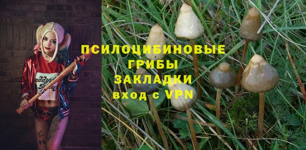 метадон Елизово
