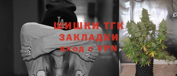 метадон Елизово