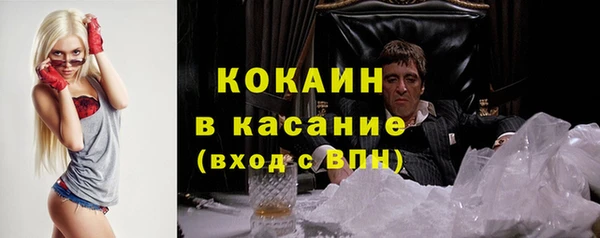 метадон Елизово