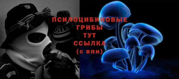 первитин Ельня