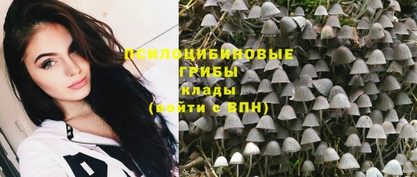 метадон Елизово
