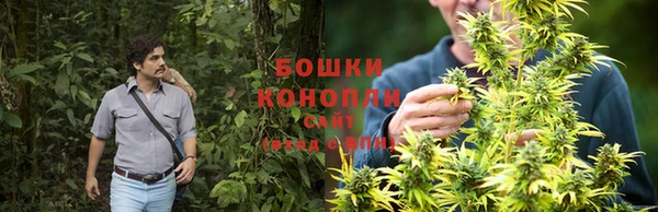 первитин Ельня
