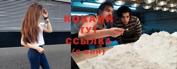 первитин Ельня