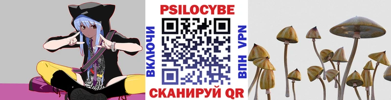 Галлюциногенные грибы мухоморы  Купить  Кизляр 