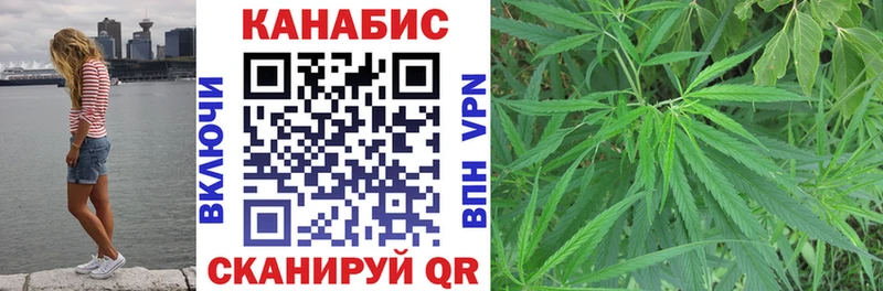 Конопля SATIVA & INDICA  Купить где  Кизляр 